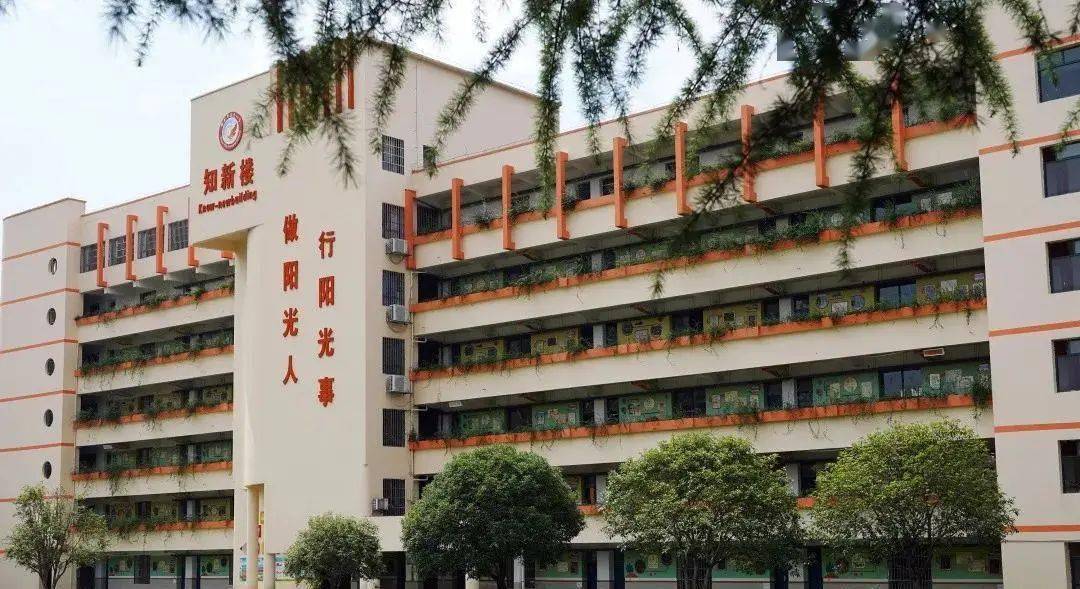定了新余逸夫小学长青小学新钢一小等学校秋季新生报名时间公布