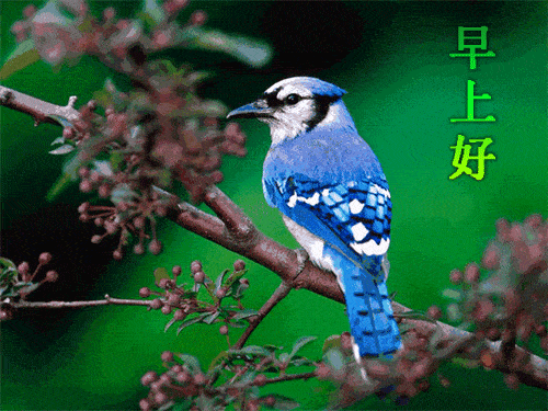 心是一块田靠自己去播种种善因故得善果种恶因故得恶果
