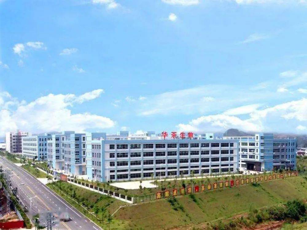 了世界500强广汽集团,中国500强广药集团,广州轻工集团,广州万宝集团