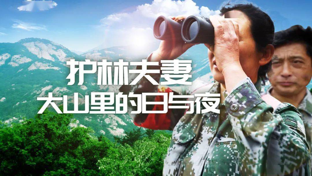 今晚他们是夫妻护林员十年巡山路能绕地球一圈