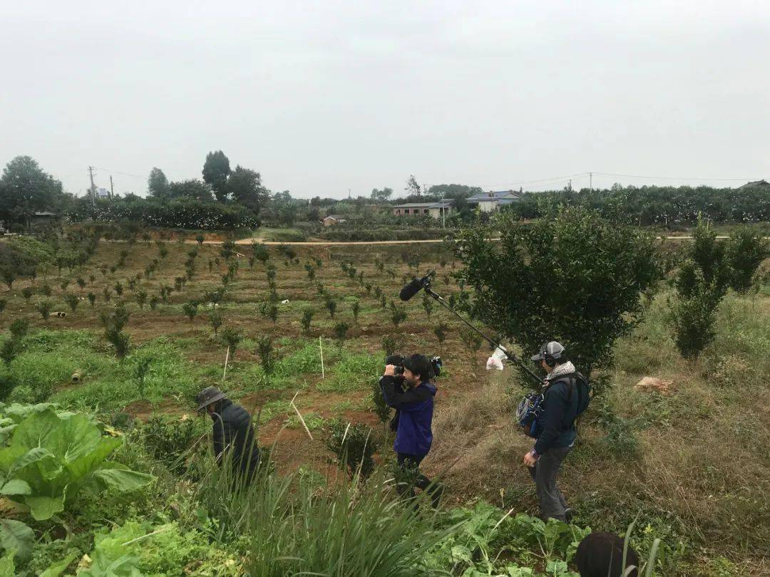 西來鎮鐵牛村冶鐵遺址述說千年古村情