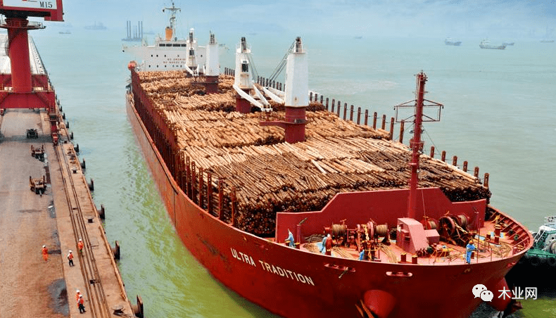 福建湄洲湾港疫情后首迎两艘原木船同靠作业
