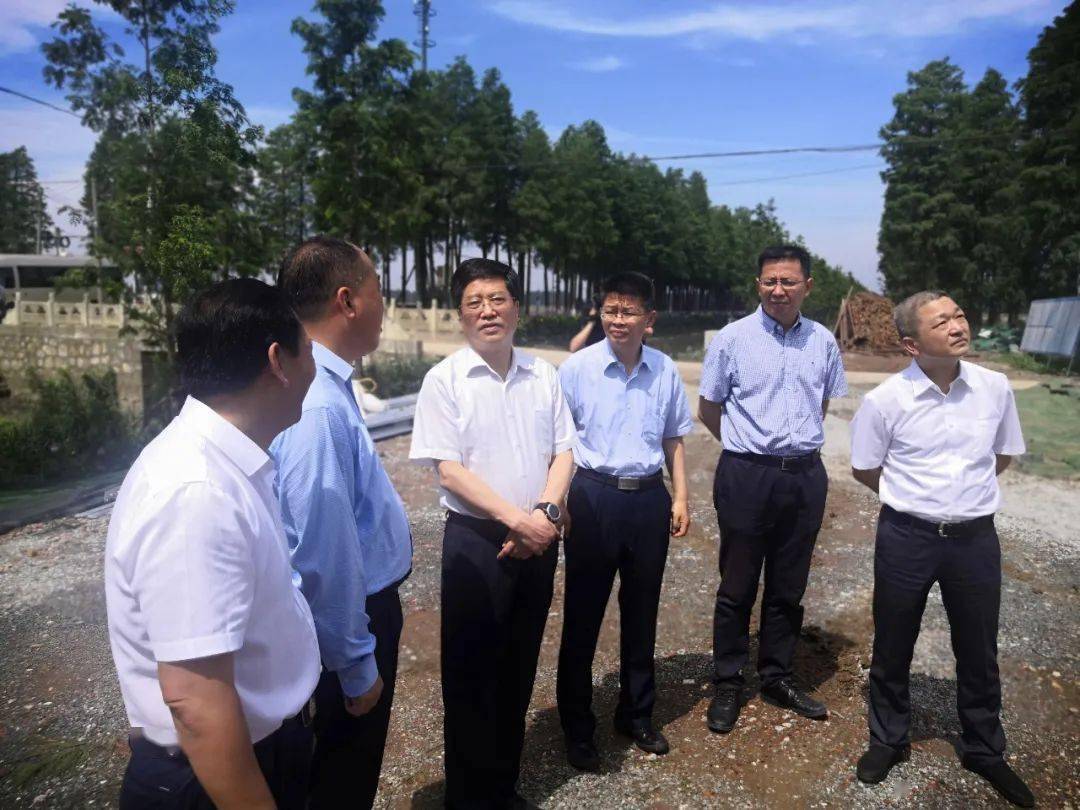在高淳,区领导刘伟,甘晓辉陪同陶长生一行实地调研了江苏青松生态农业