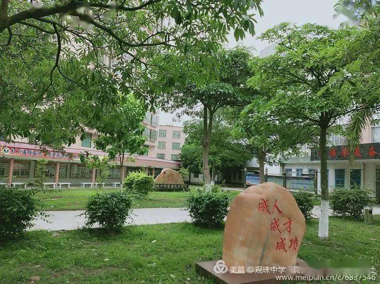 炎炎夏日一起走进景色令人迷醉的观珠中学