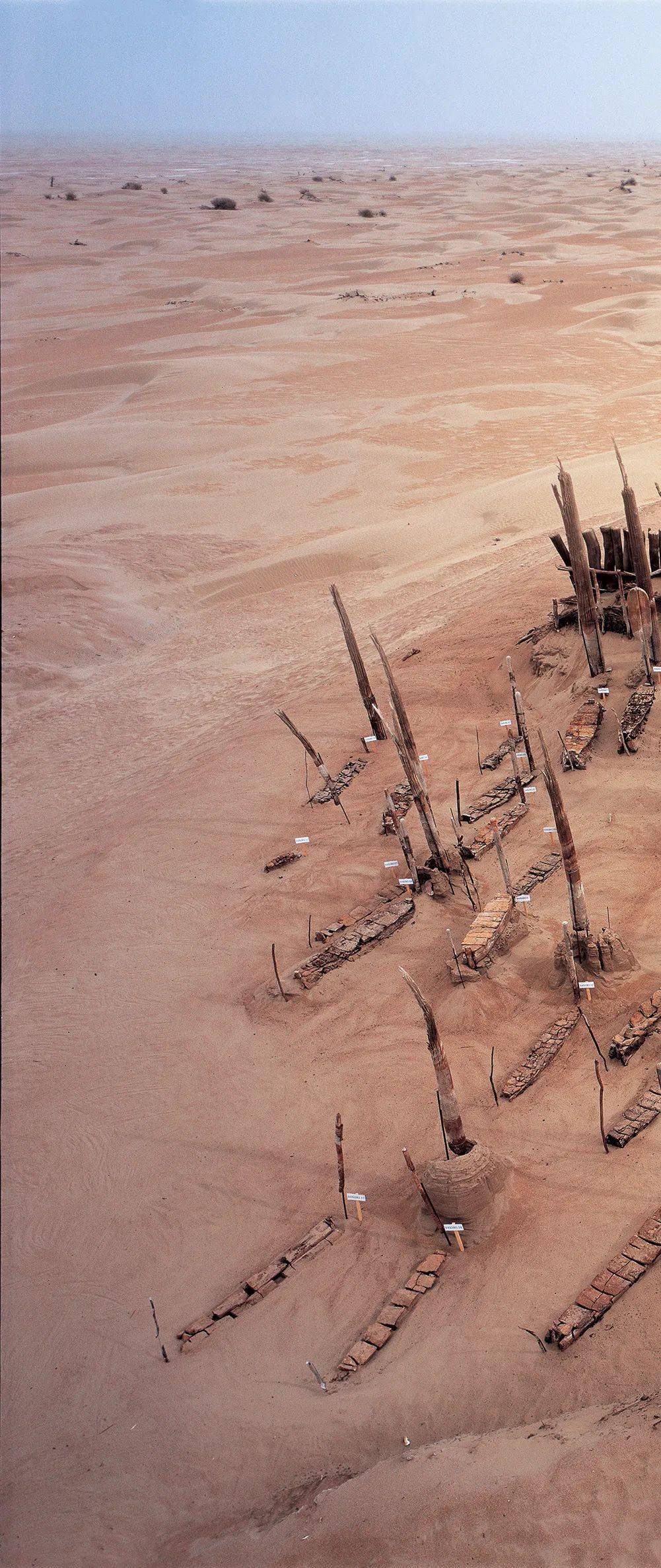 罗布泊深处,为什么埋着人身木腿僵尸?