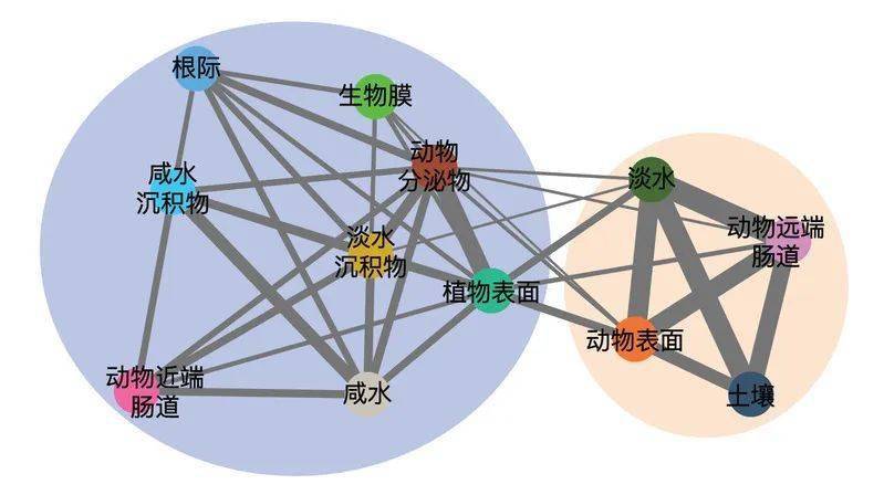 biomedcentral.com/articles/10.1186/s40168-020-00857-2