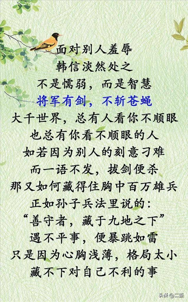 将军有剑不斩苍蝇