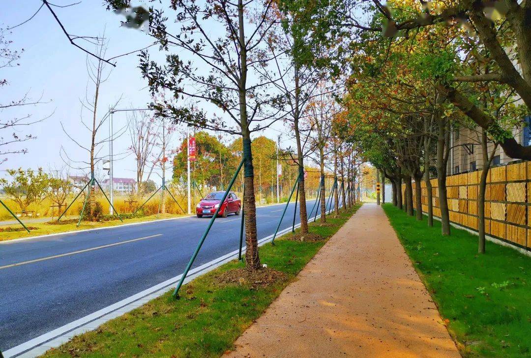 决胜全面小康之看看我家门前的那条最美乡村路上海藏着一个绿色威尼斯