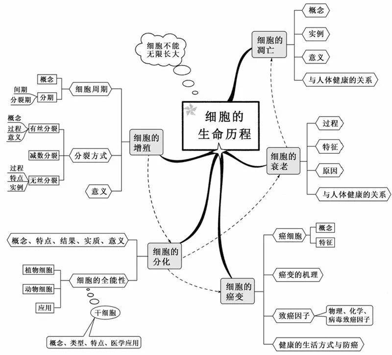 超全高中生物思維導圖20張圖掃清三年知識點