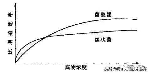 在絲狀菌與菌膠團細菌平衡生長時不會產生汙泥膨脹問題,只有當絲狀菌