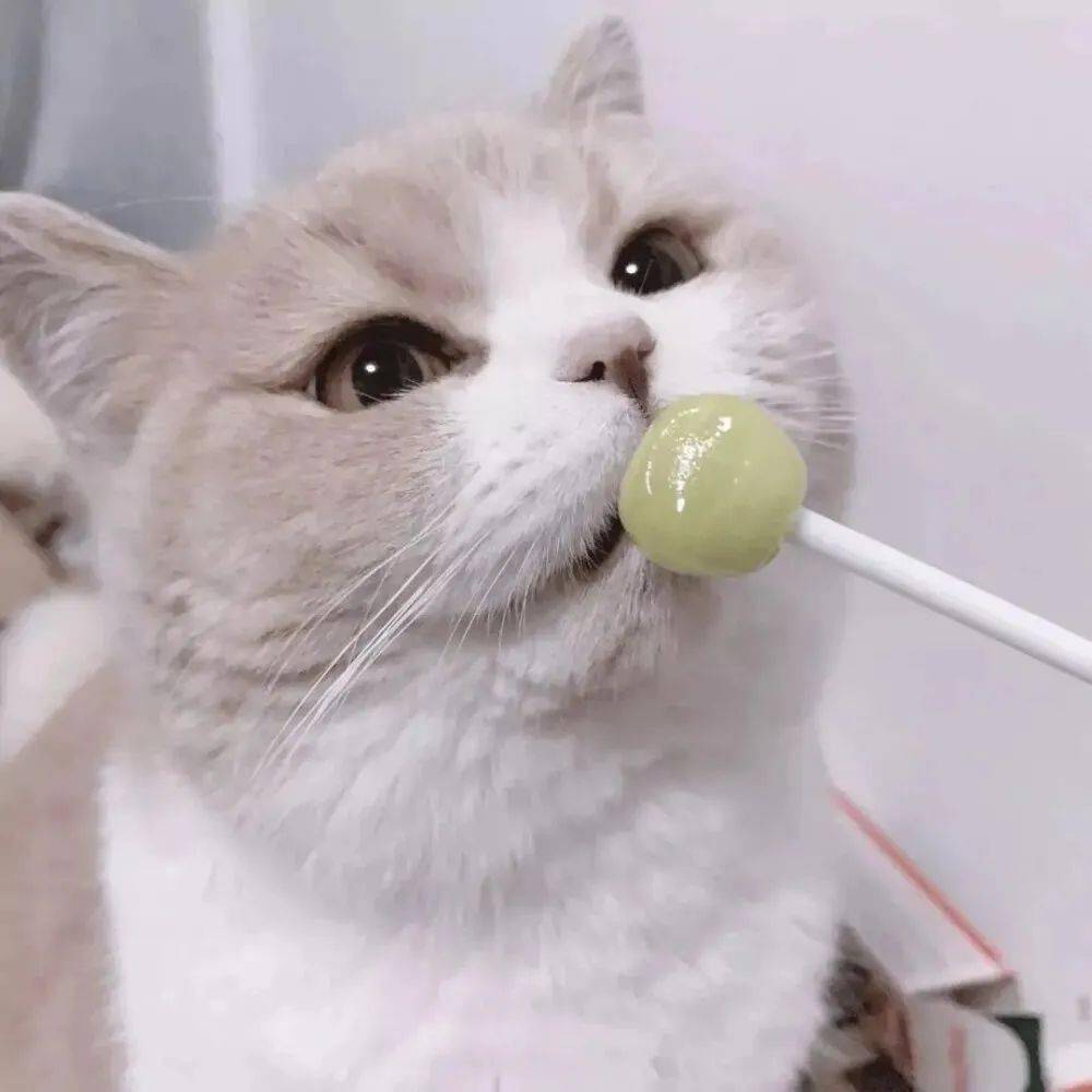 微信头像百里挑一