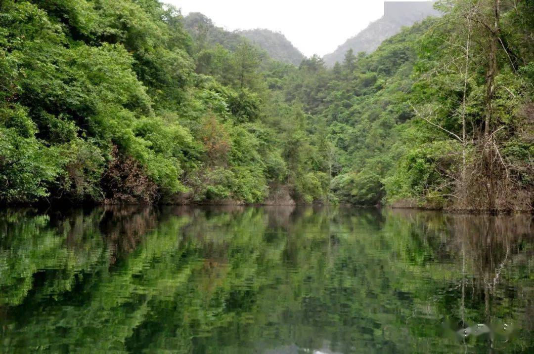 【創建天府旅遊名縣】納涼去江油,這些地清爽涼透!約起走喲!