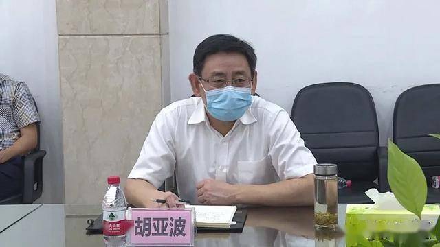 武汉市长胡亚波简介图片