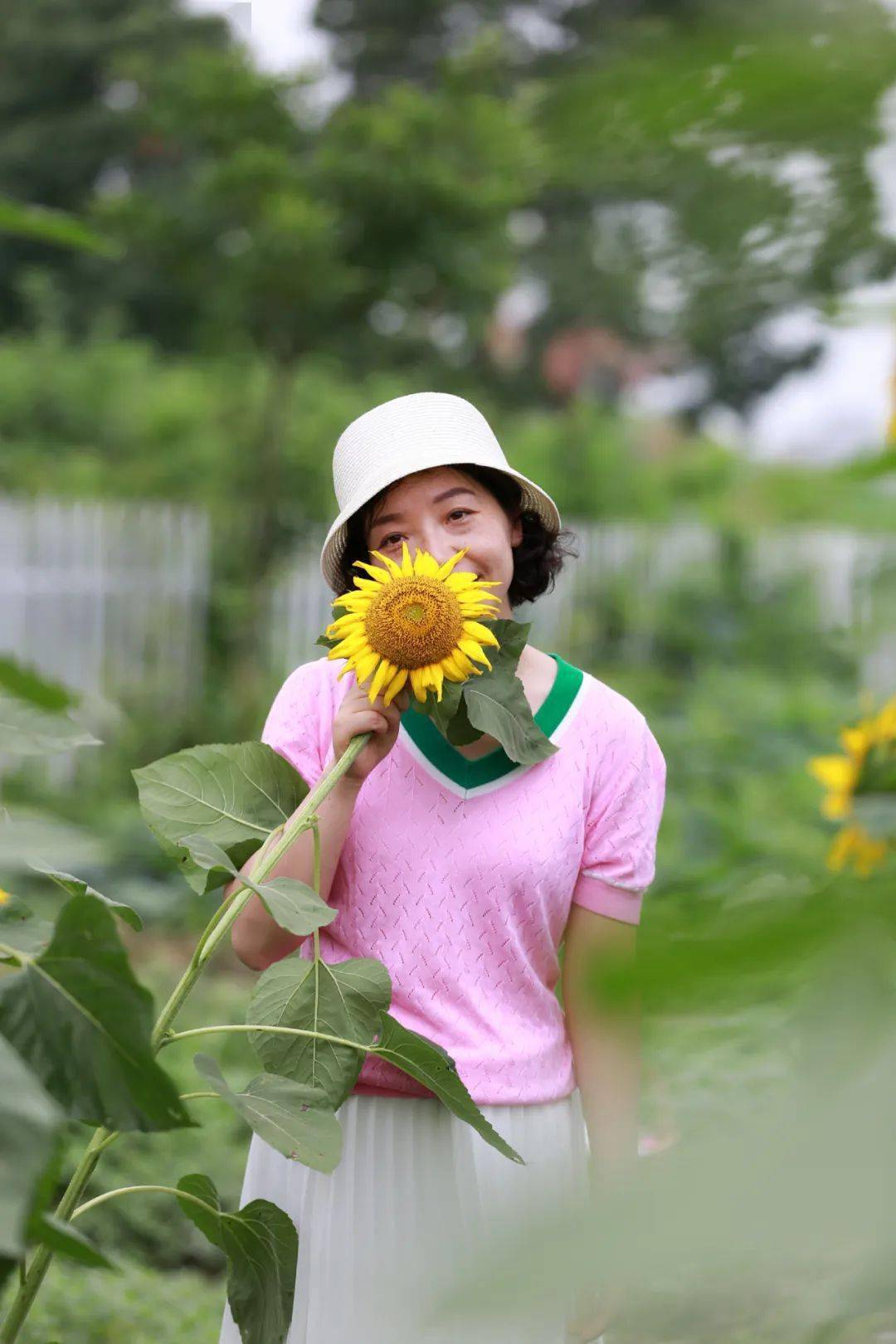向日葵比喻什么样的女人(向日葵比喻什么样的女人形象)