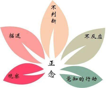 正念改变人生让你做情绪的主人