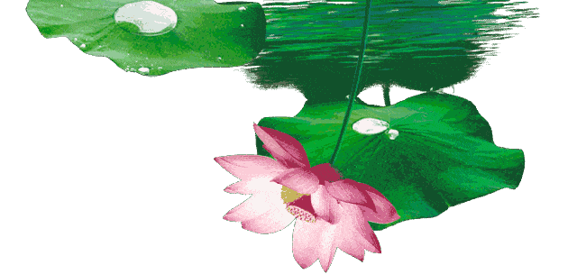 640_304gif 动态图 动图