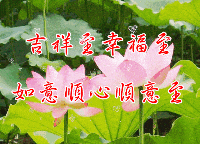 夏至群图册