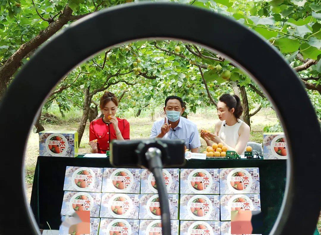 "奥利给"!"徐主播"直播带货 打通惠农助农"杏"福致富路