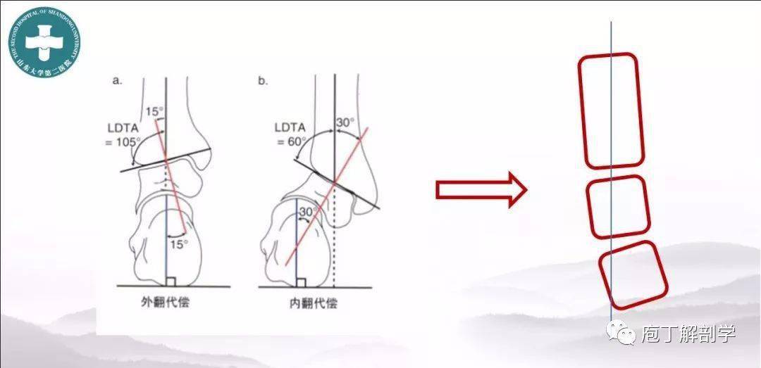 足踝生物力学6s中心图片