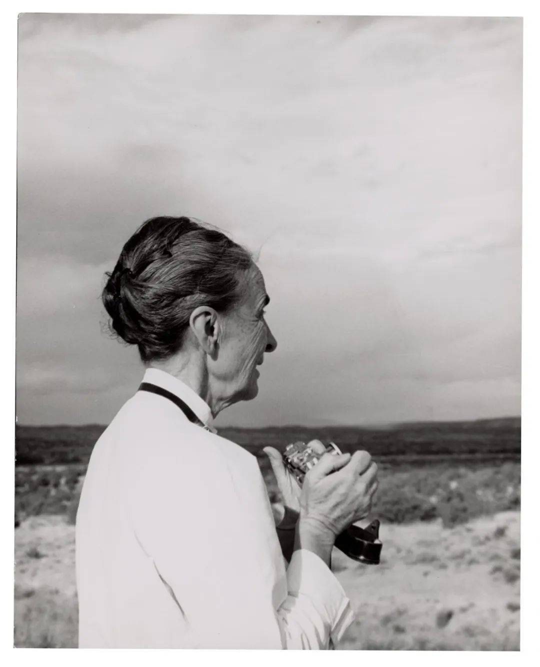 乔治亚.奥基夫迟迟不肯画菠萝