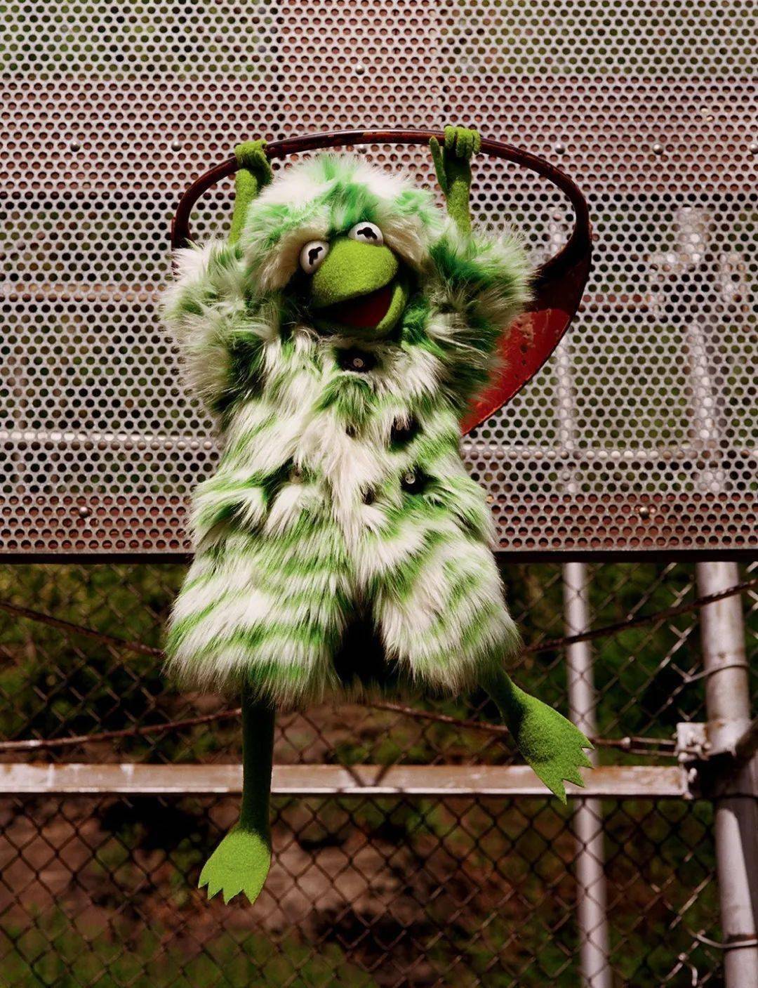 kermit the frog meets miu miu for《love》magazinereadymade