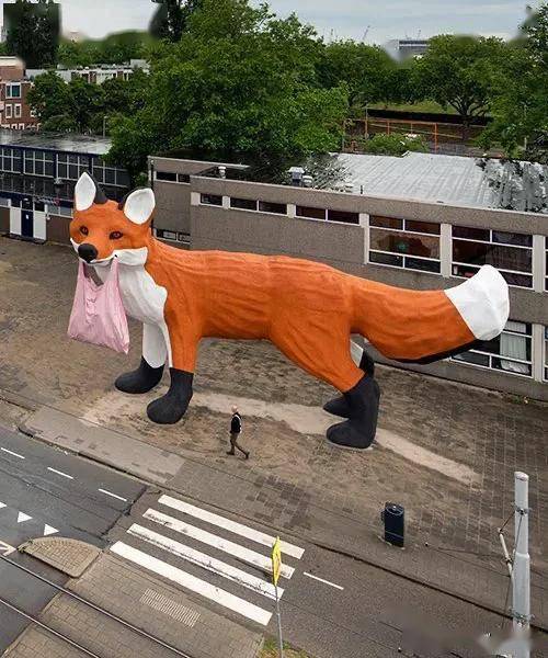 一只巨型狐狸叼着一个购物袋礼貌地站在荷兰鹿特丹的路边等绿灯