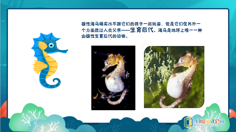 父亲节,给爸爸一个爱的"豹豹"!