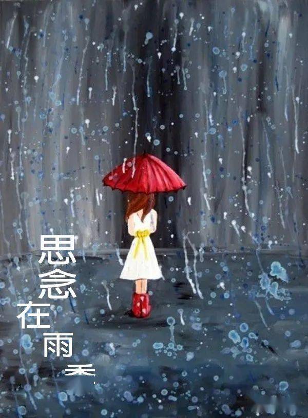散沫花思念在雨季