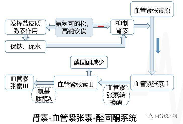 原发性醛固酮增多症「四步曲,看这篇就够了!