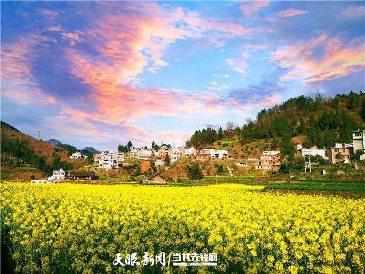 九仓镇能否打造成为仁怀南部区域中心城镇