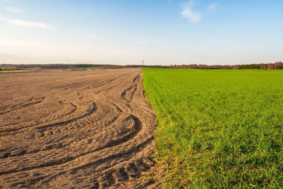 我们都知道,土地资源是人类赖以生存和发展的基础,是经济可持续发展的