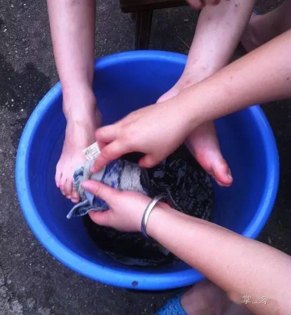 端午节要在家的周围撒硫磺酒和在家里每个屋门口都放几棵艾草的习俗