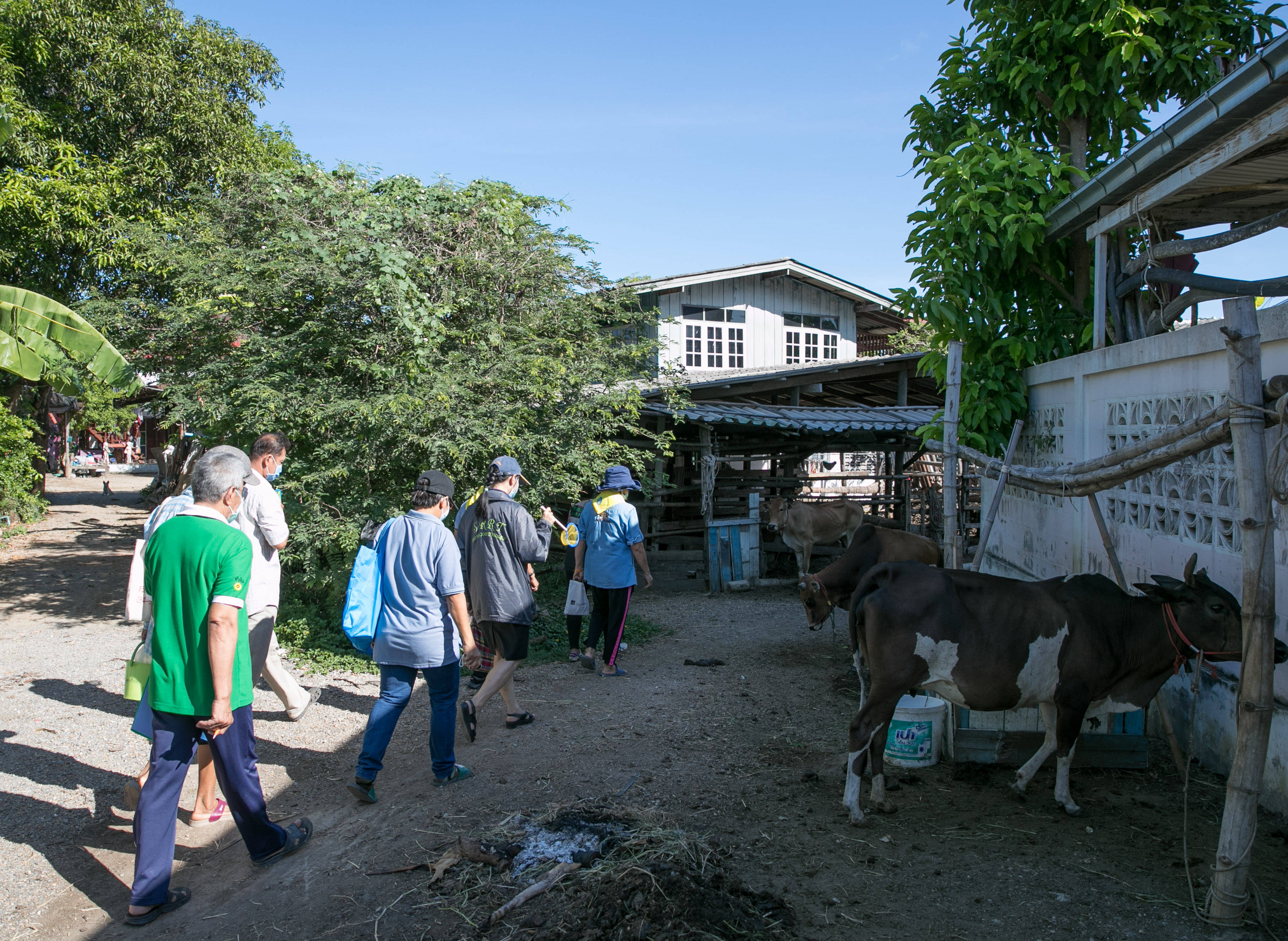 泰国百万乡村医疗志愿者 功不可没的抗疫英雄