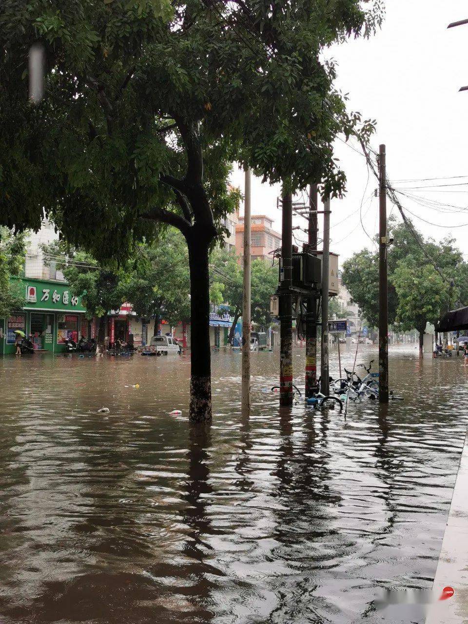 今天端午節一場暴雨讓欽州秒變海多路段水浸街