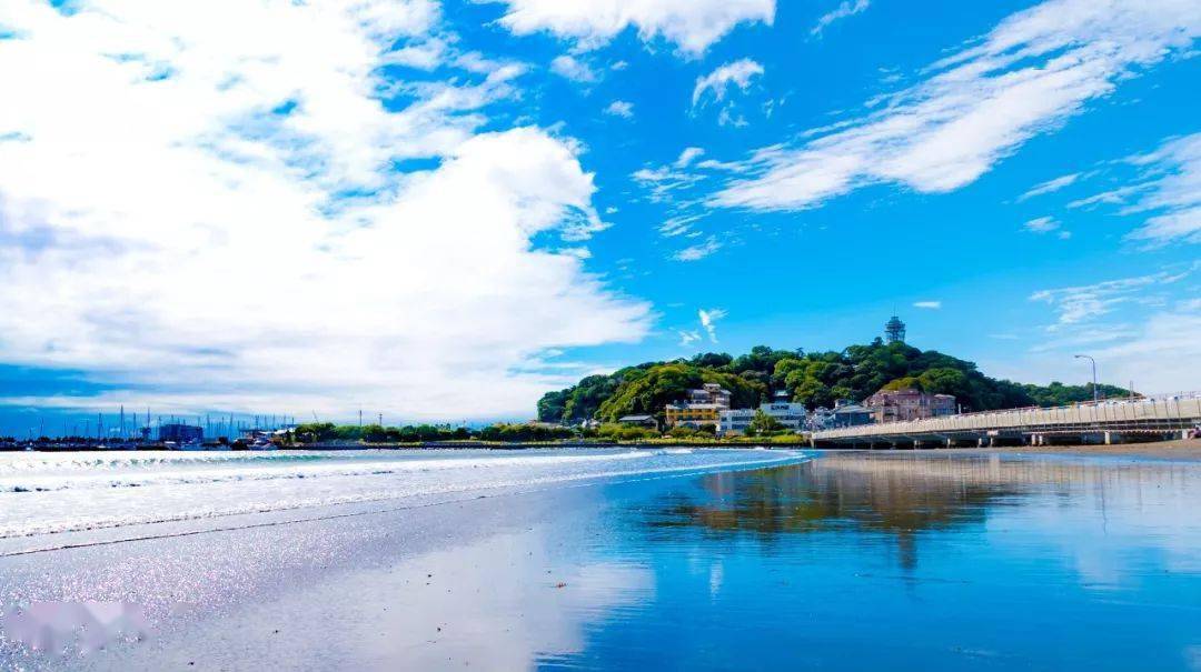 原来日本有这么多猫岛简直是猫咪控的天堂猫奴们坐不住了