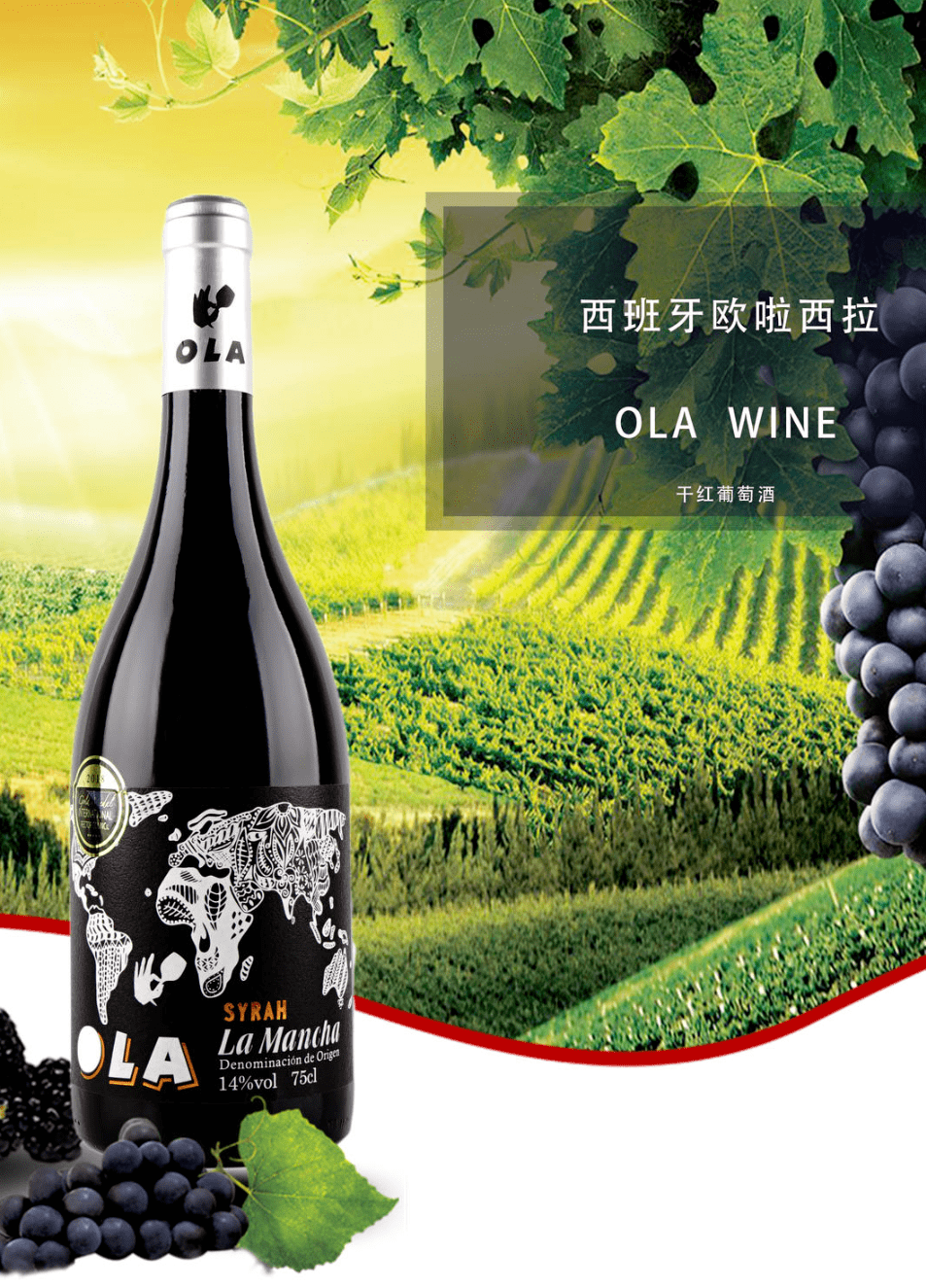 西班牙欧啦西拉类型:干红葡萄酒度数:14%vol有着红樱桃,草莓,黑樱桃