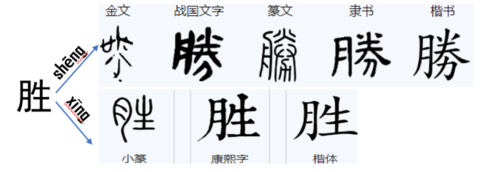【教师专栏】说文解字——胜