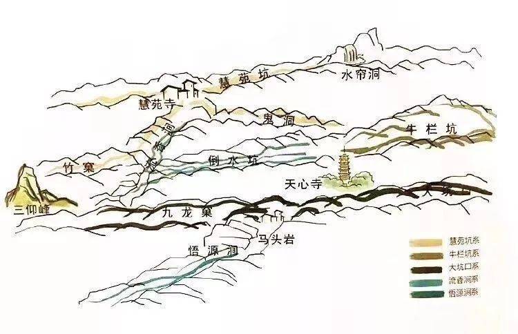 茶山游学招募踏访大美武夷解码武夷茶