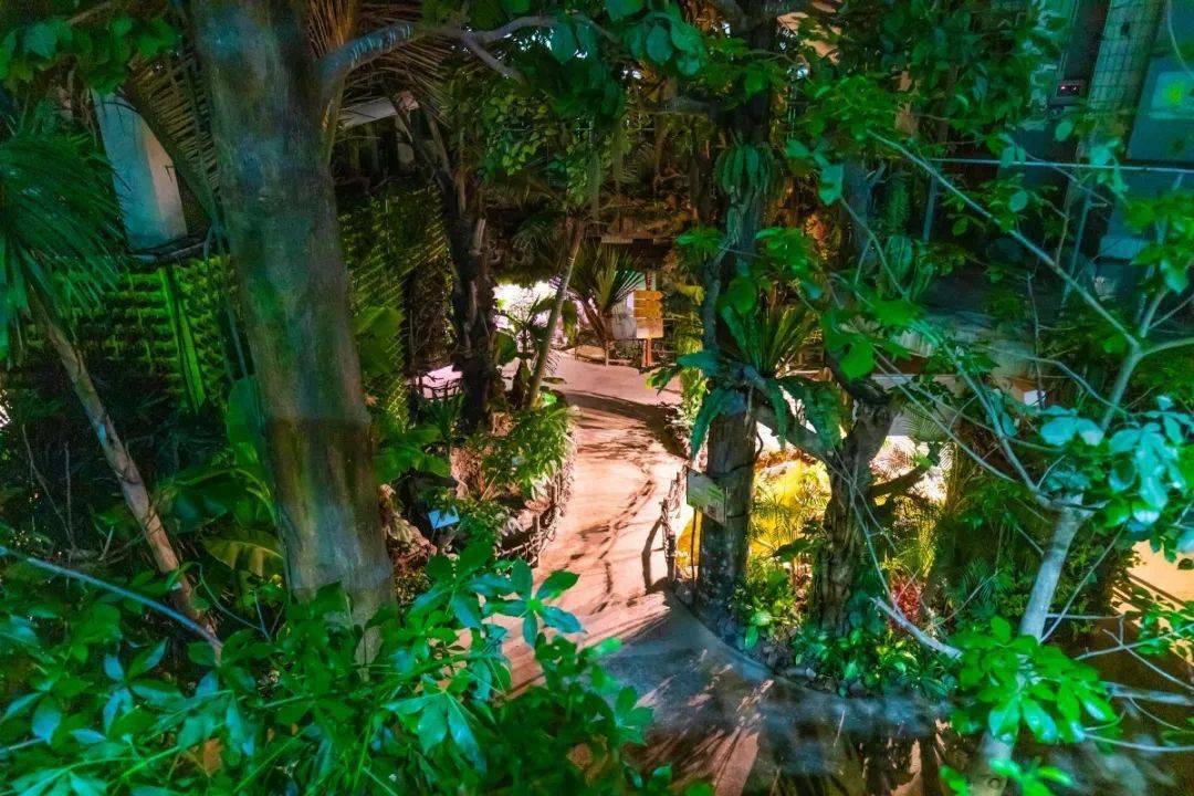 正佳"拍了拍"你:海洋,雨林,博物三馆爆玩,仅99元!