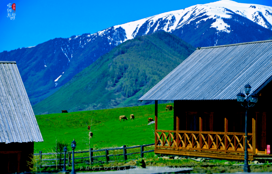 『喀旅度假』喀纳斯禾木村这个山庄,蕴藏着图瓦传奇,惊艳了夏日