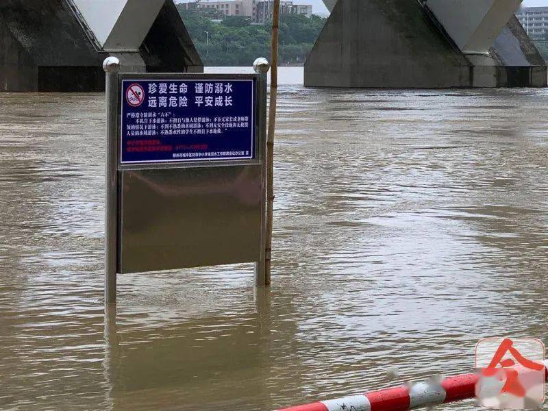 洪水漫上滨江西路延长线,这里暂时禁止车辆通行!