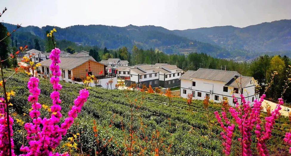 万源石塘镇:"四个强化"创建瓦子坪村级治理"第一村"