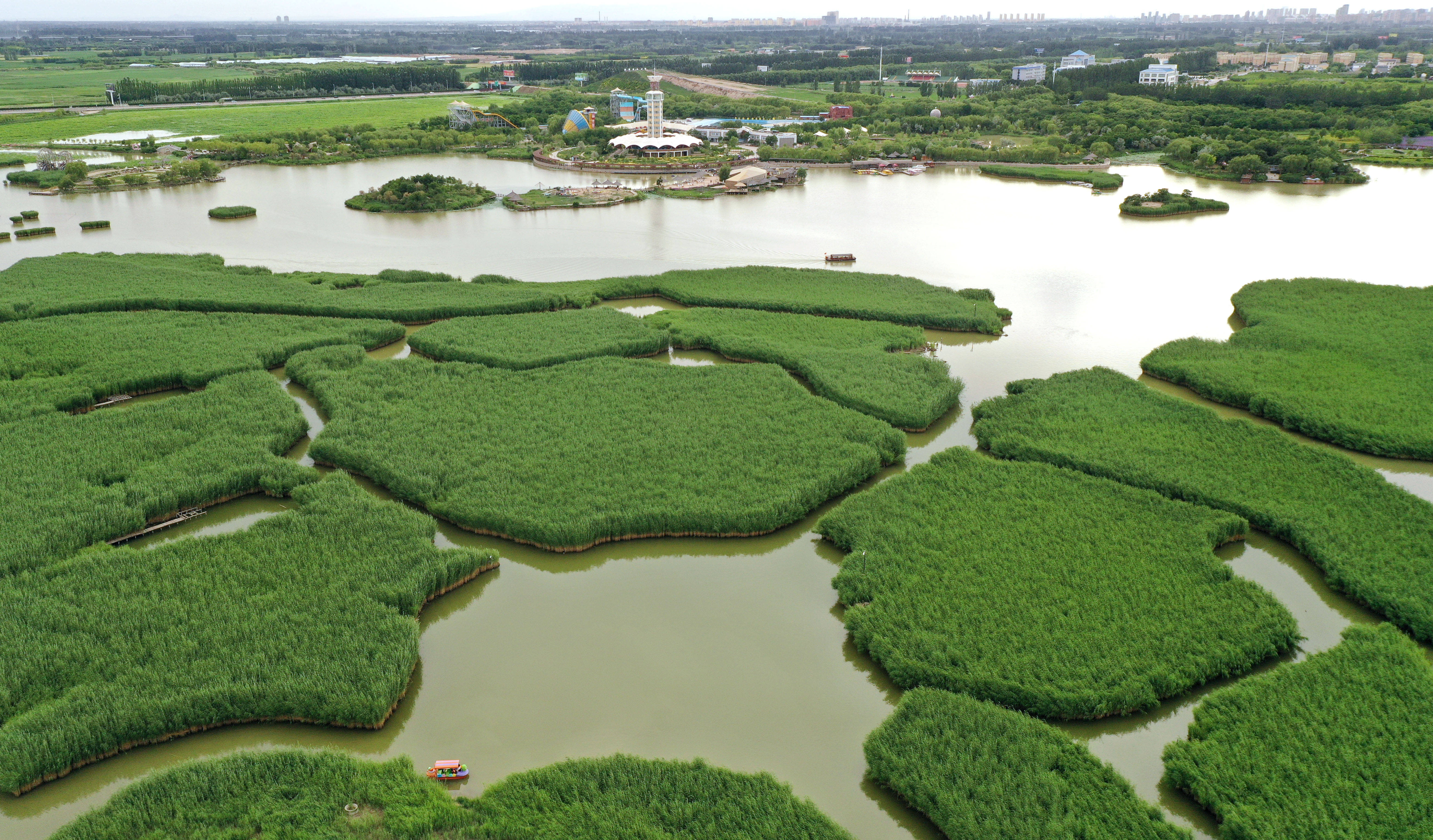 宁夏银川市鸣翠湖国家湿地公园(无人机照片,6月25日摄)