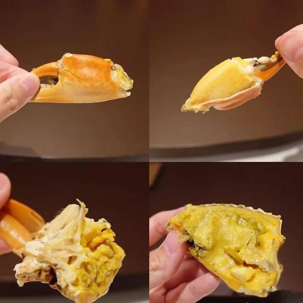 肉黄爆发3000元斤的南方蟹皇竟然一戳破就开始流油