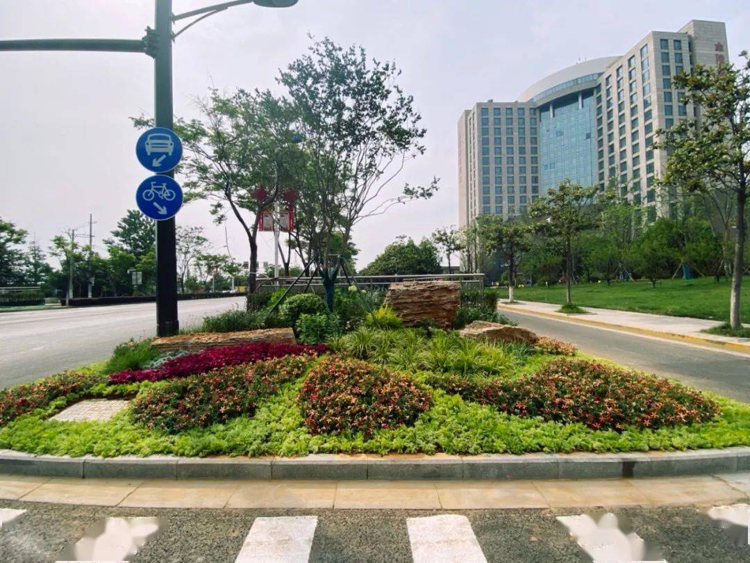 绿化工作在植物的搭配上以造型景观树,常绿植物,观