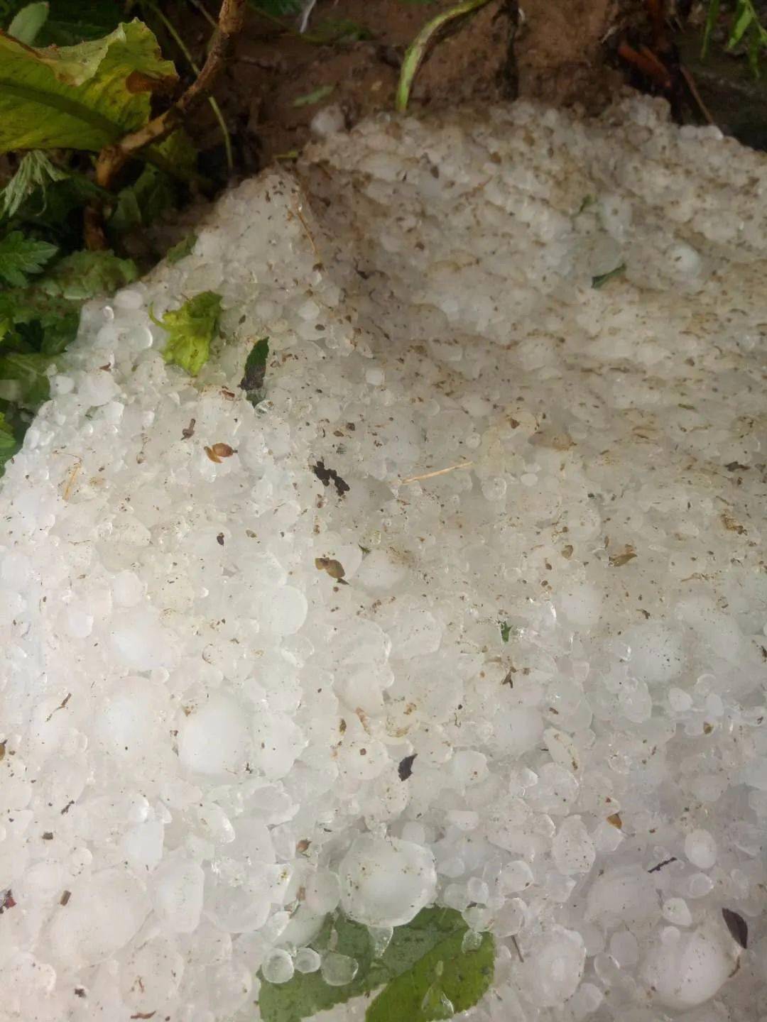 【视频】张家口多地遭冰雹袭击!朋友圈刷爆了!