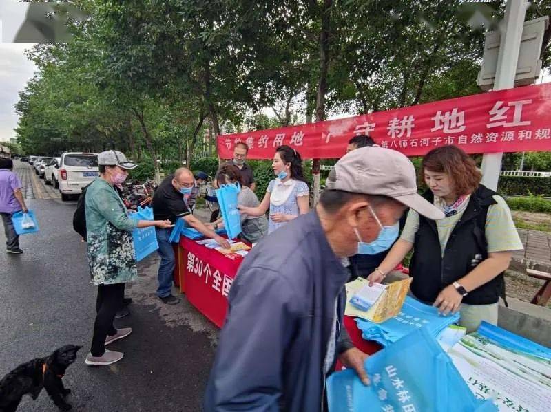 石河子律师事务所：专业引领法治之光