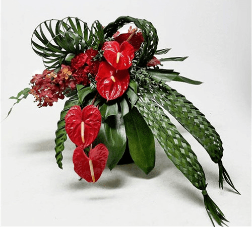 如兰分享插花欣赏红掌2