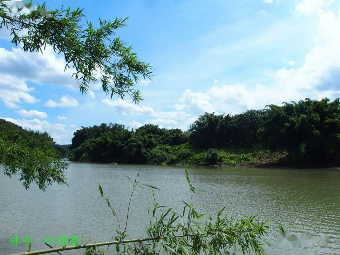 归湖竹洲岛风景图片图片