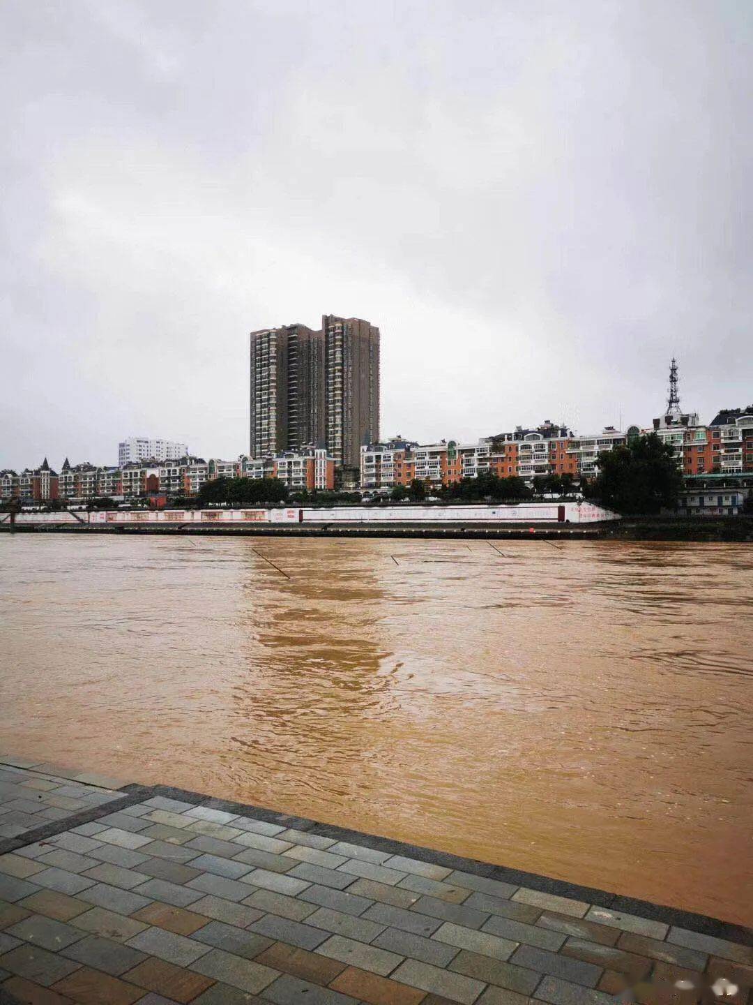 【随手拍高安】连续暴雨,锦江河水位这么高了?